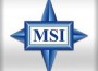 MSI Logo
