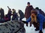 Big Miracle Film Poster