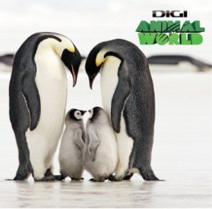 Digi Animal World