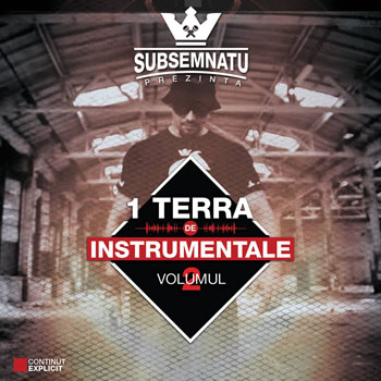 Subsemnatu - 1 Terra de Instrumentale Vol 2