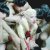 Lady GaGa a recunoscut ca a avut probleme cu drogurile