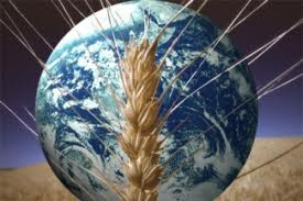 In maxim doi ani, Romania va fi afectata de o criza alimentara Criza Alimentara