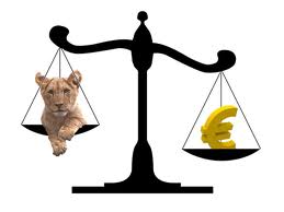 Leul creste in raport cu euro Leu vs Euro