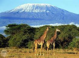 Trei romani au urcat muntele Kilimanjaro Kilimanjaro