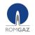 Romgaz dupa prima zi de listare la Bursa