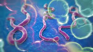 Rusii lucreaza la un vaccin impotriva virusului EBOLA EBOLA