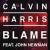 Calvin Harris ft. John Newman - Blame