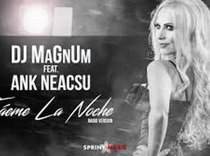 Dj MaGnUm feat. Ank Neacsu - Traeme La Noche