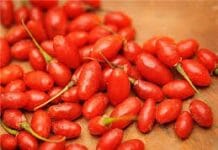 Efectele benefice ale fructului Goji Goji